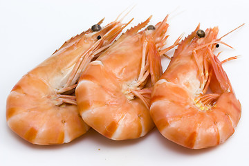 Image showing shrimps