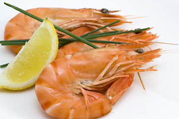 Image showing shrimps