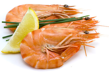 Image showing shrimps