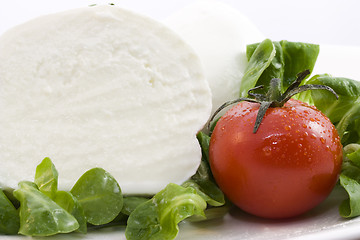 Image showing mozzarella bufala and salad