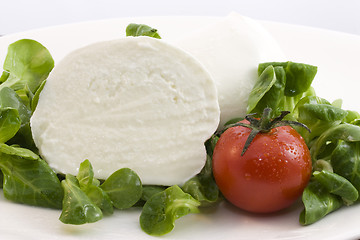 Image showing mozzarella bufala and salad