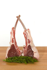 Image showing Racks of lamb