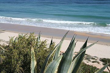 Image showing the Mediterranean