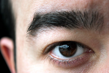 Image showing Eye Closeup