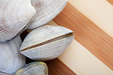 Image showing Live Clams 