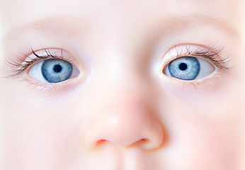 Image showing Baby eyes