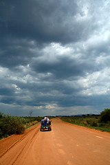 Image showing Donkey cart