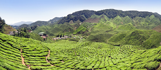 Image showing Panoramic farm