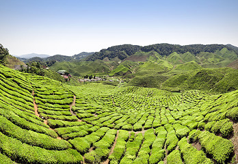 Image showing Beautiful farm