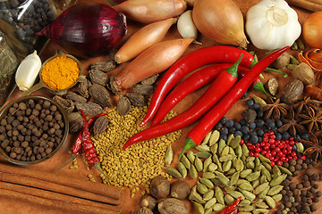 Image showing Spices