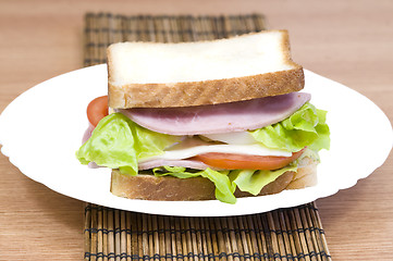 Image showing tasty sandwich