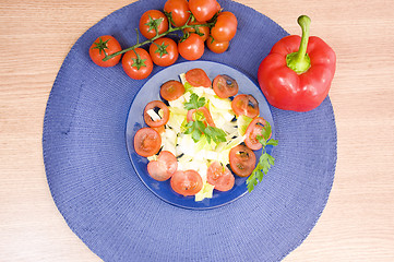 Image showing preparing salad