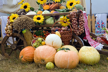 Image showing Harvest