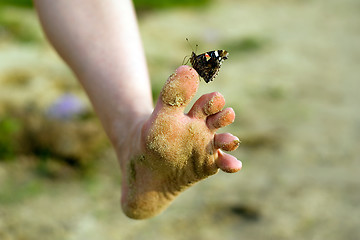 Image showing Walking with butterfly