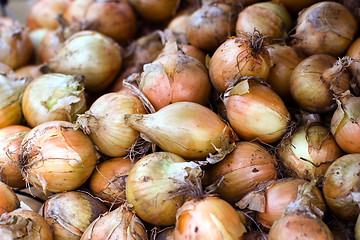 Image showing Pile of Onions