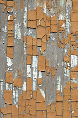 Image showing Old paints on wood