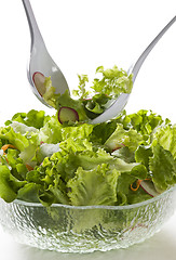 Image showing Salad