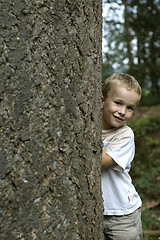 Image showing Hide and seek