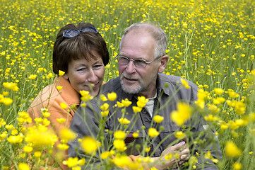 Image showing Senior couple in a buttercup field