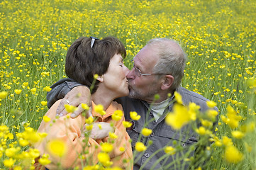 Image showing Kissing In The Field