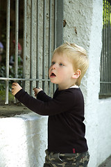 Image showing Small boy looking amazed