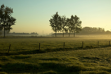 Image showing Morning Landscape