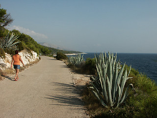 Image showing Walk at the coast