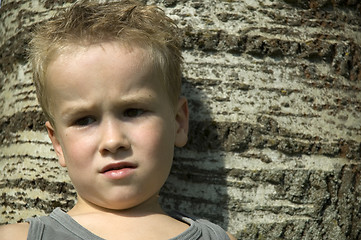 Image showing Boy against a tree