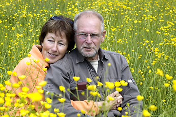 Image showing Senior couple in a buttercup field