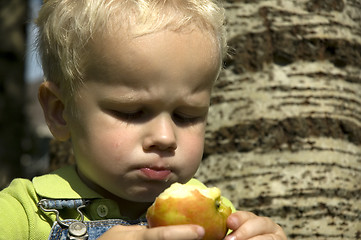 Image showing Little boy with juicy apple