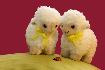Image showing 2 Sheep Looking At A Ladybird