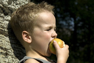 Image showing Eating an apple -2