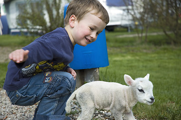 Image showing Little boy and little sheep