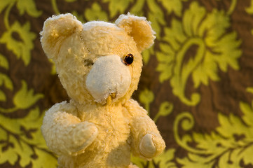 Image showing Old Teddy Bear