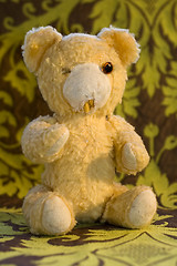 Image showing Old Teddy Bear 2