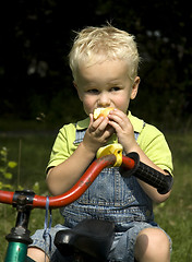 Image showing What a tasty apple