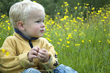 Image showing Little boy between grass and flowers