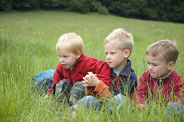 Image showing Three Friends in the grass
