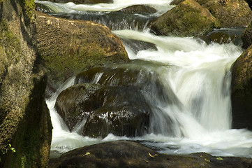 Image showing Waterfall