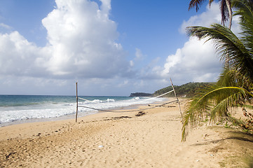 Image showing coconut tree desolate beach long bag corn island nicaragua
