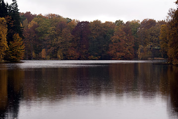 Image showing Forest Sea Background