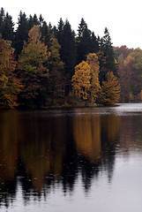 Image showing Forest Sea Background