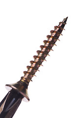 Image showing Screwdriver and screw
