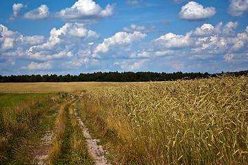 Image showing Rural landscape