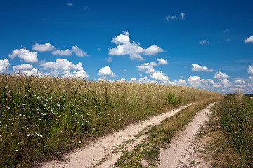 Image showing Rural road