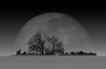 Image showing Moonrise