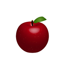 Image showing Vector Apple