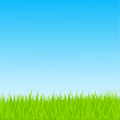 Image showing Vector Grass