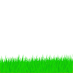 Image showing Vector Grass