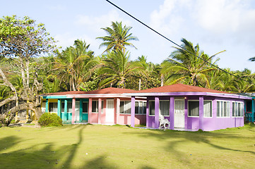 Image showing rental cabanas sallie peachie big corn island nicaragua